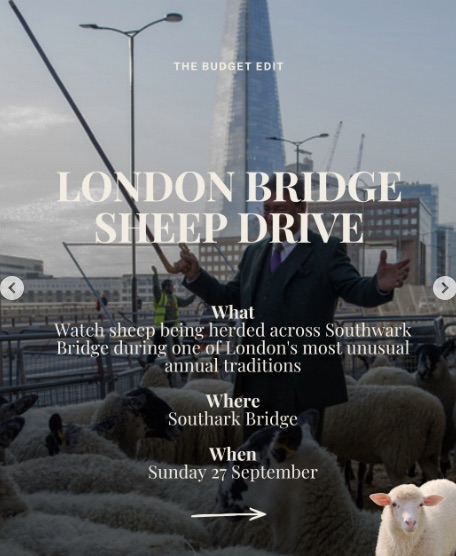London Bridge Sheep Drive